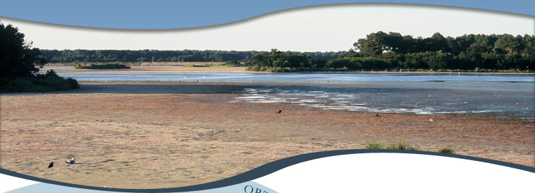 beach landscape